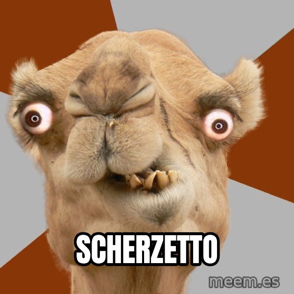 Crazy Camel lol meme: SCHERZETTO