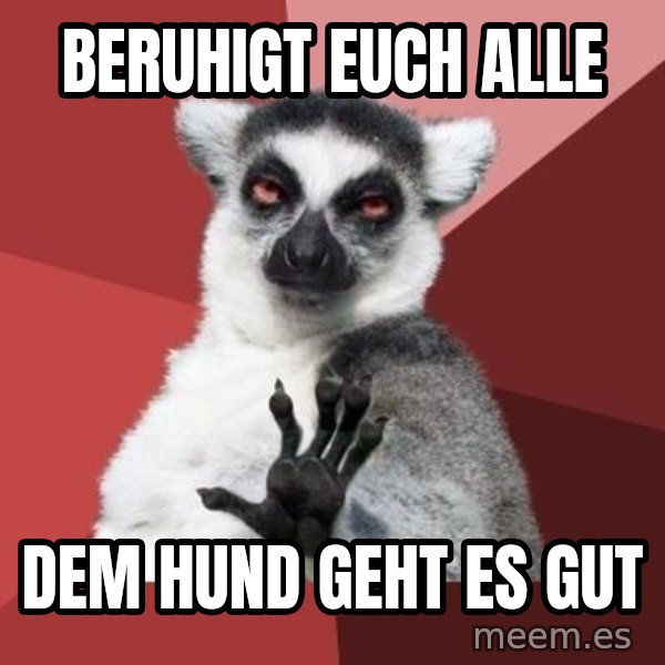 mindenki nyugodjon le a picsába meme: Beruhigt euch alle / dem Hund geht es gut