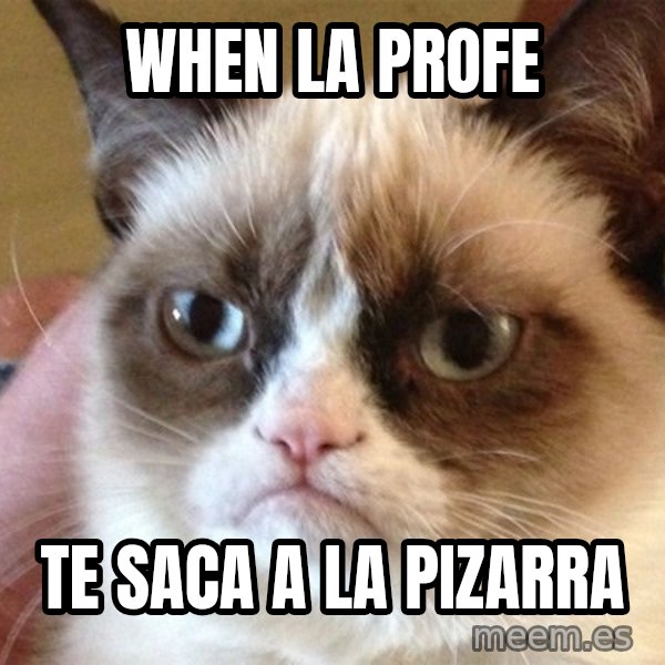 Angry Cat Meme meme: when la profe / te saca a la pizarra
