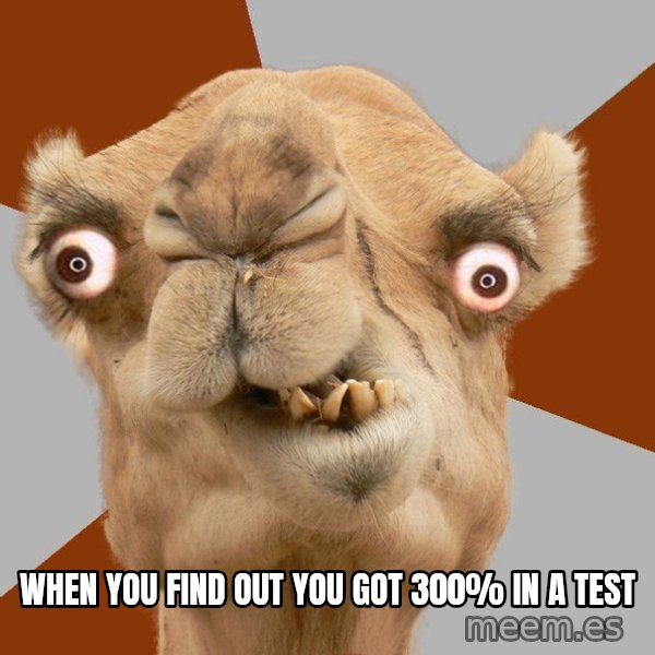 Crazy Camel lol meme: When you find out you got 300% in a test