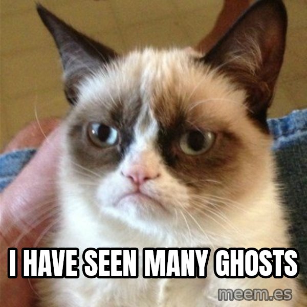 Grumpy Cat  meme: I have seen many ghosts