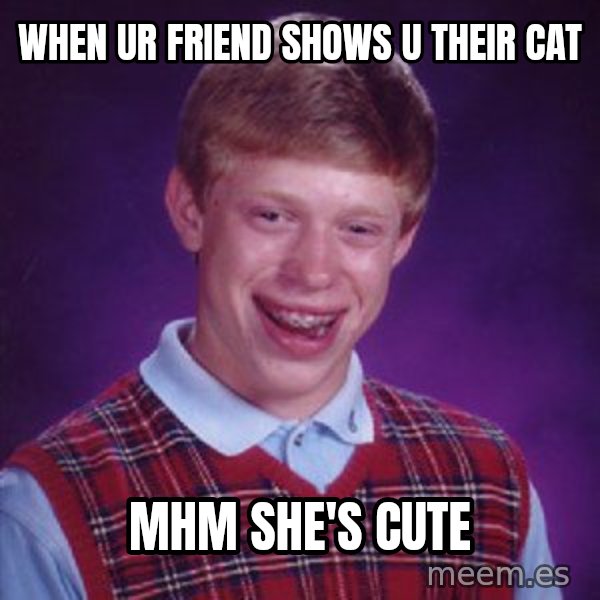 Bad Luck Brian meme: When Ur Friend Shows u their cat / Mhm she's cute