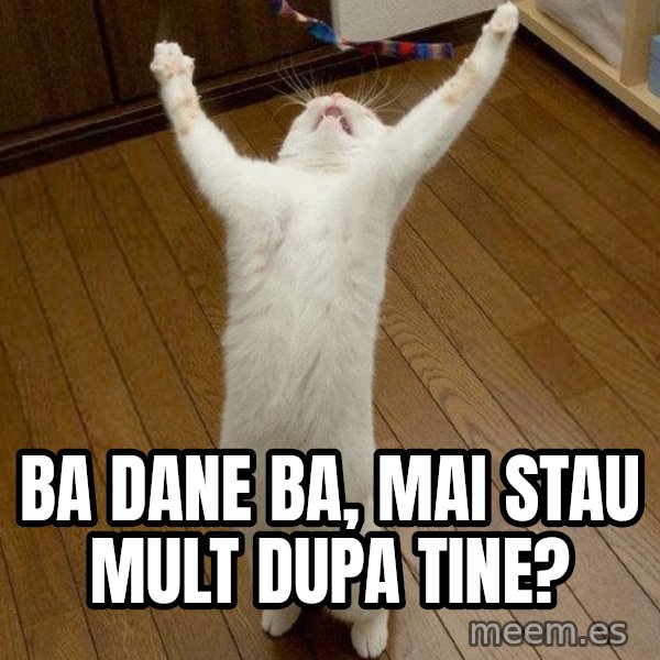 praise the lord cat meme: ba dane ba, mai stau mult dupa tine?