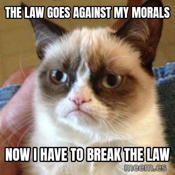 Grumpy Cat  meme: the law goes against my morals / now I have to break the law