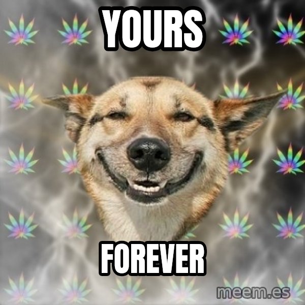 Stoner Dog meme: Yours / Forever