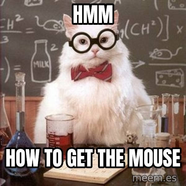 Chemistry Cat meme: hmm / how to get the mouse
