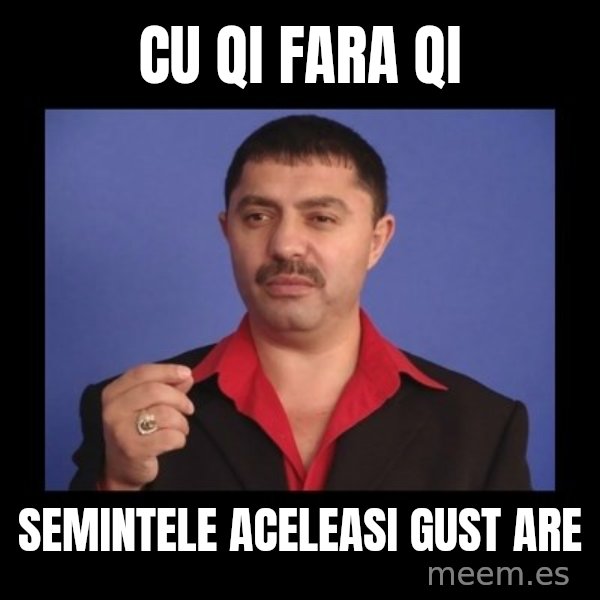 Manelistul Nicolae Guta meme: CU QI FARA QI / SEmintele aceleasi gust are
