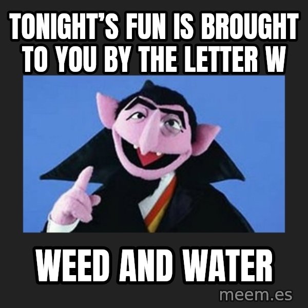 The Count from Sesame Street meme: Tonight’s fun is brought to you by the letter W / Weed and Water