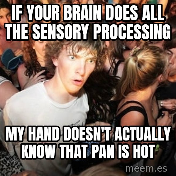 Sudden Realization Ralph meme: if your brain does all the sensory processing / my hand doesn't actually know that pan is hot
