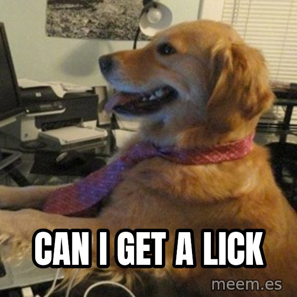 I have no idea what I'm doing - Dog with Tie meme: can i get a lick