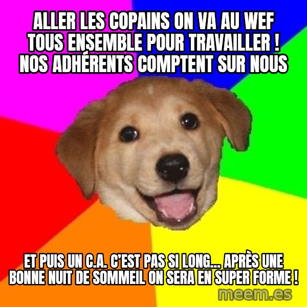 Advice Dog meme: Aller les copains on va au WEF tous ensemble pour travailler ! Nos adhérents comptent sur nous / Et puis un C.A. c’est pas si long... après une bonne nuit de sommeil on sera en super forme !