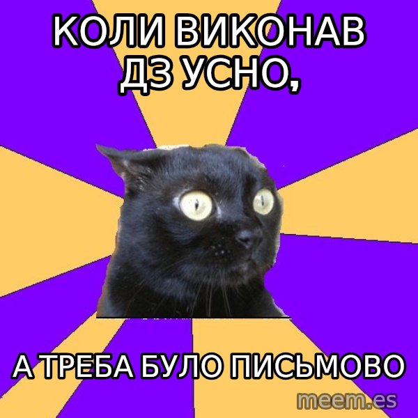 Anxiety Cat meme: коли виконав дз усно, / а треба було письмово