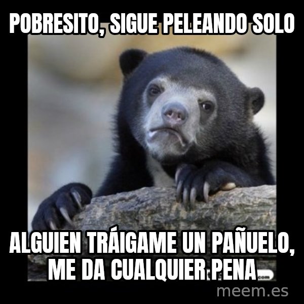 sad bear meme: Pobresito, sigue peleando solo / Alguien tráigame un pañuelo, me da cualquier pena