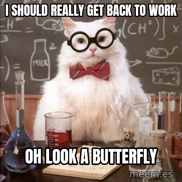 Chemistry Cat meme: I should really get back to work / oh look a butterfly