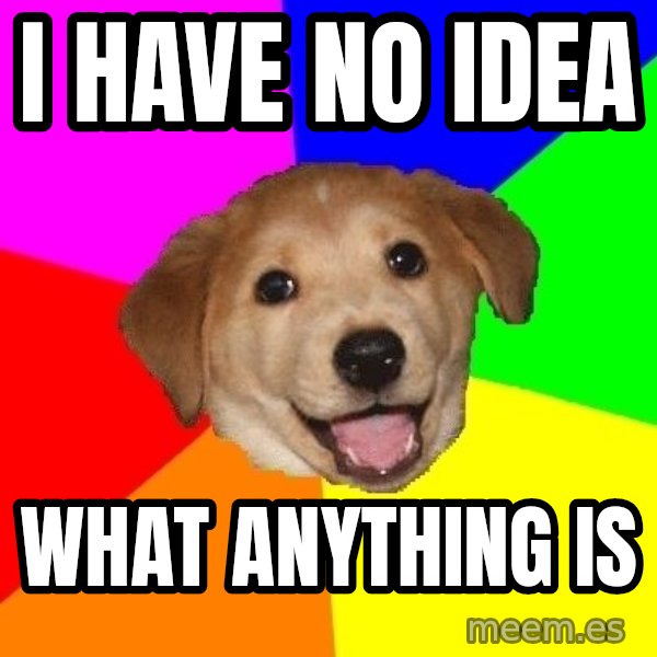 Advice Dog meme: I have no idea / What anything is