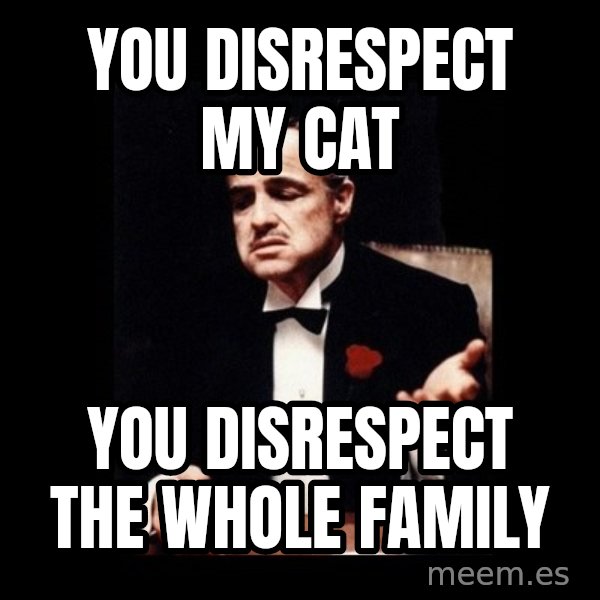 The Godfather meme: You disrespect my cat / you disrespect the whole family