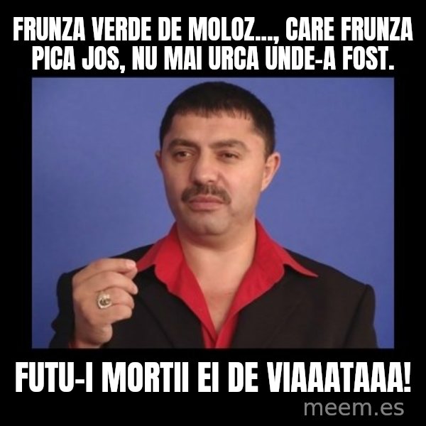 Manelistul Nicolae Guta meme: Frunza verde de moloz..., Care frunza pica jos, nu mai urca unde-a fost. / Futu-i mortii ei de viaaataaa!
