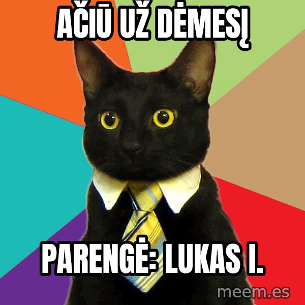 Business Cat meme: ačiū už dėmesį / parengė: Lukas I.