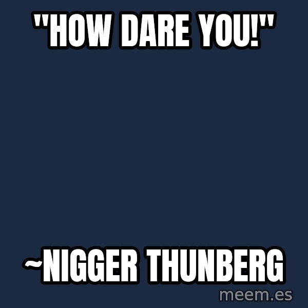 Blank Black meme: "How dare you!" / ~Nigger Thunberg