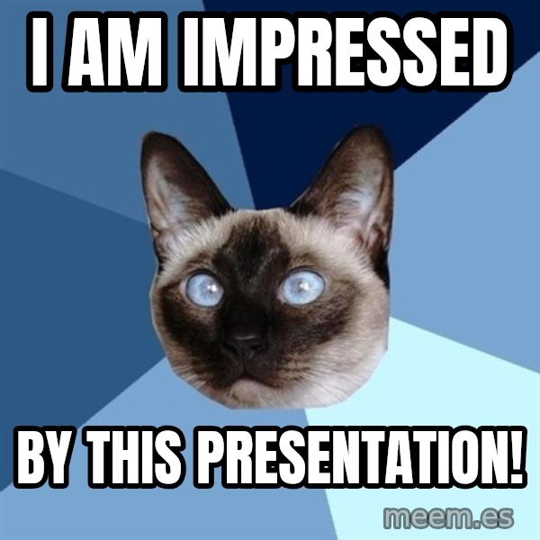 Chronic Illness Cat meme: I am impressed / by this presentation!