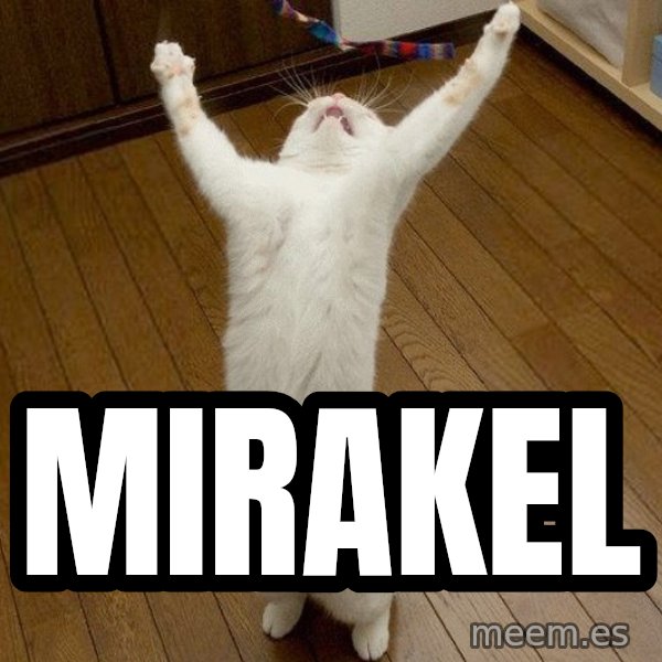 praise the lord cat meme: Mirakel