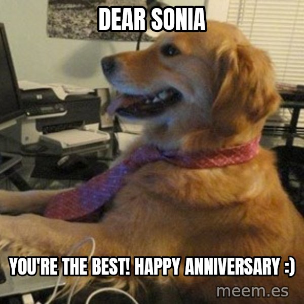 I have no idea what I'm doing - Dog with Tie meme: Dear Sonia / You're the BEST!                 Happy Anniversary :)