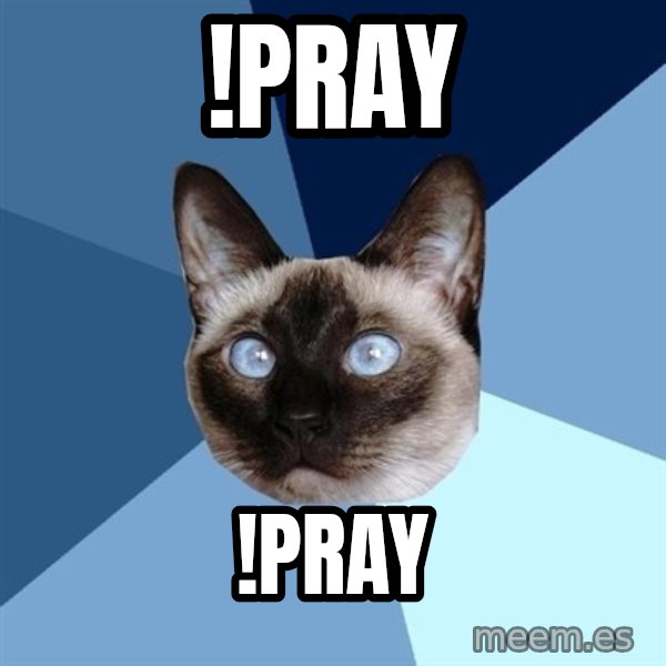 Chronic Illness Cat meme: !pray / !pray
