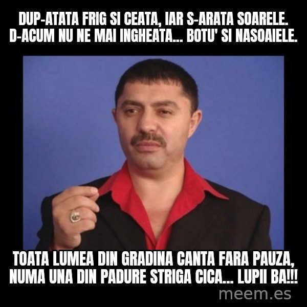 Manelistul Nicolae Guta meme: Dup-atata frig si ceata, iar s-arata soarele. D-acum nu ne mai ingheata... botu' si nasoaiele. / Toata lumea din gradina canta fara pauza, numa una din padure striga cica... Lupii ba!!!