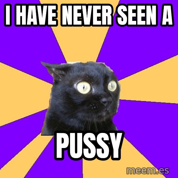 Anxiety Cat meme: I have never seen a / Pussy