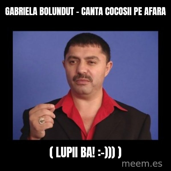 Manelistul Nicolae Guta meme: Gabriela Bolundut - Canta cocosii pe afara / ( Lupii ba! :-))) )