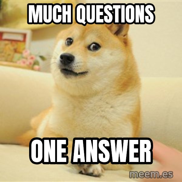 so doge meme: much questions / one answer