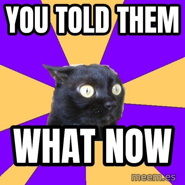 Anxiety Cat meme: you told them / what now