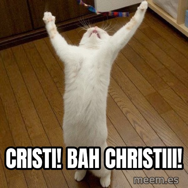 praise the lord cat meme: Cristi! Bah Christiii!