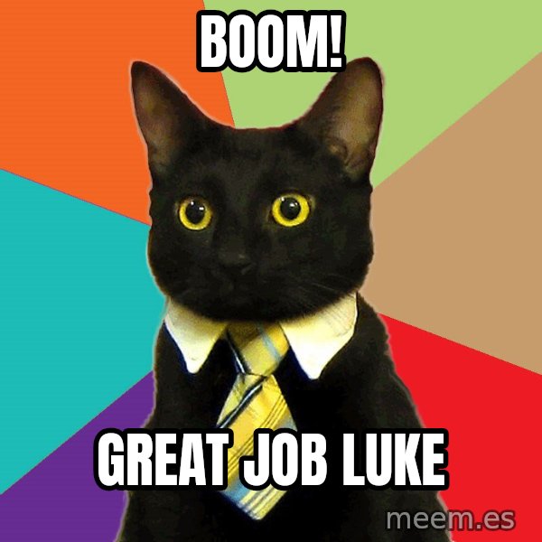 Business Cat meme: BOOM! / GREAT JOB LUKE