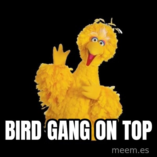 BIG BIRD meme meme: Bird Gang on Top