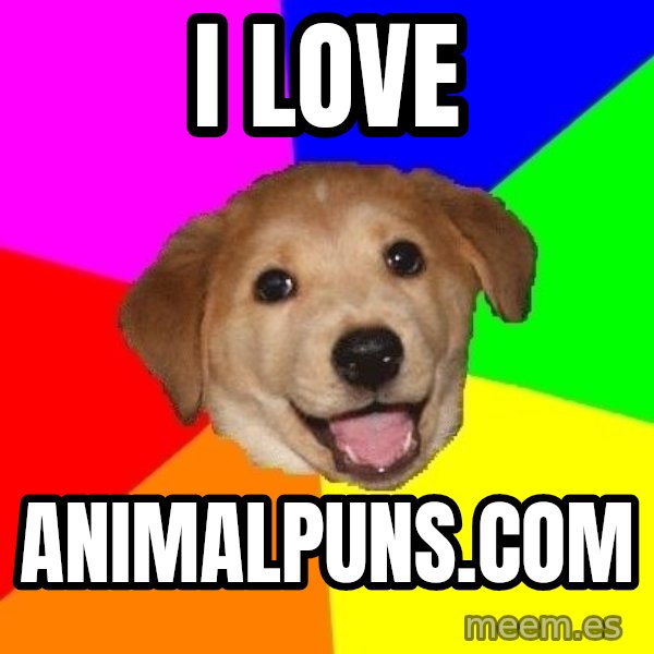 Advice Dog meme: I love / Animalpuns.com