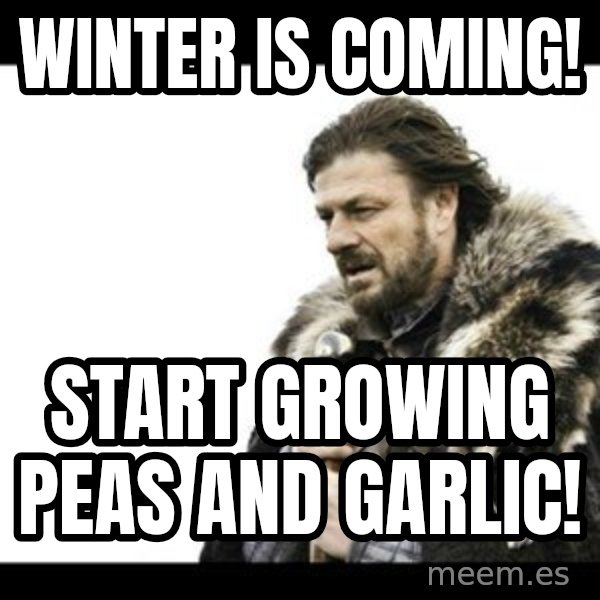 Winter is Coming meme: winter is coming! / start  growing peas and garlic!