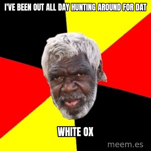 Aboriginal meme: I've been out all day hunting around for dat / White ox