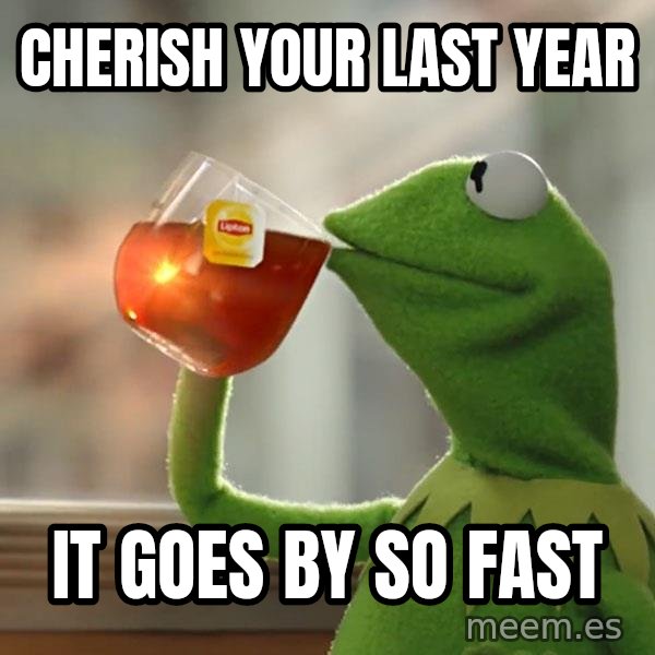 Kermit The Frog Drinking Tea meme: CHERISH YOUR LAST YEAR / IT GOES BY SO FAST
