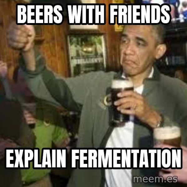obama beer meme: beers with friends / EXPLAIN FERMENTATION