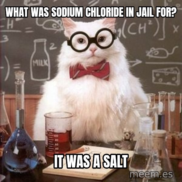Chemistry Cat meme: What was sodium chloride in jail for? / it was a salt