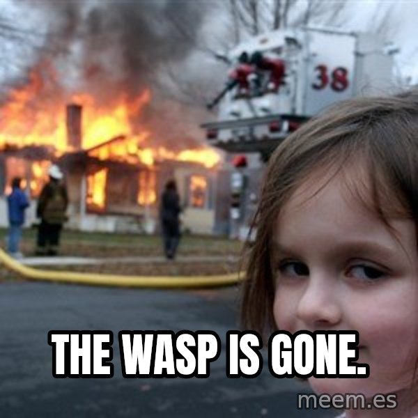 Disaster Girl meme: The wasp is gone.