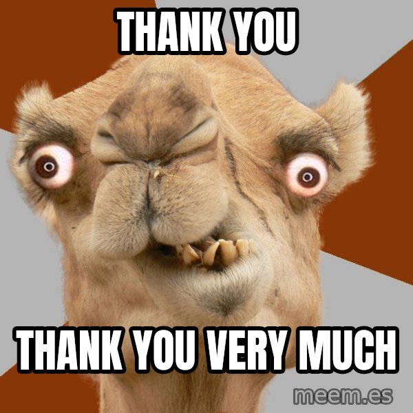 Crazy Camel lol meme: Thank you / Thank you very much
