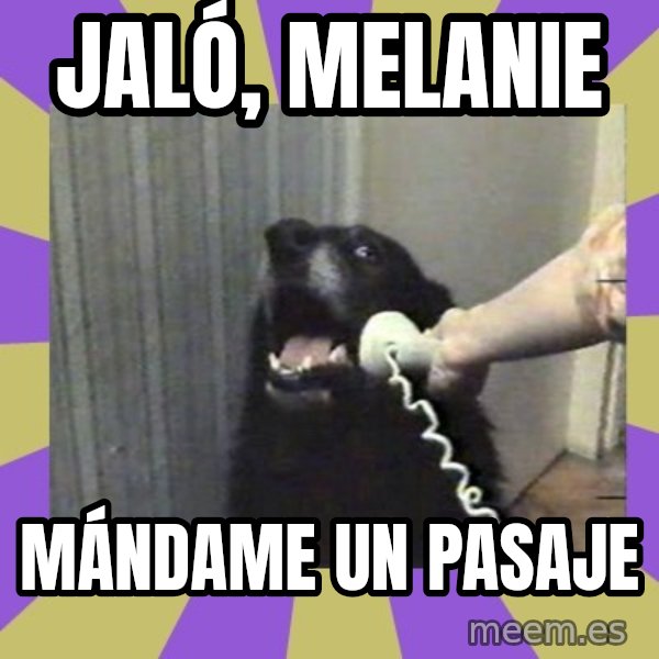 Yes, this is dog! meme: Jaló, Melanie / Mándame un pasaje