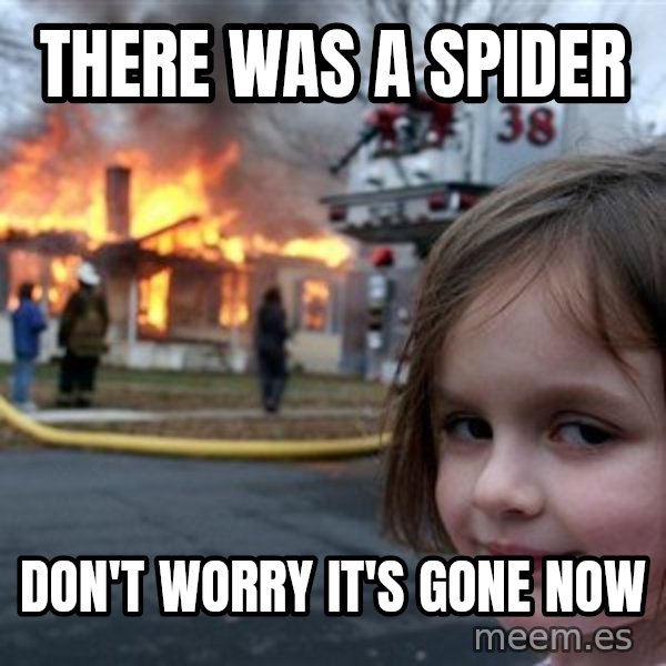 Disaster Girl meme: There was a spider / Don't worry it's gone now