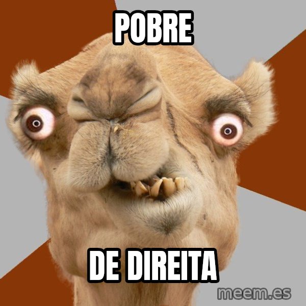 Crazy Camel lol meme: POBRE / DE DIREITA