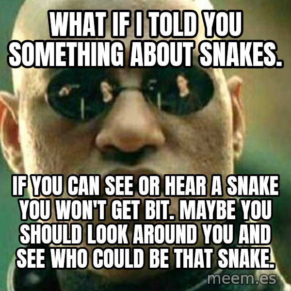 What If I Told You meme: What if I told you something about snakes. / If you can see or hear a snake you won't get bit. Maybe you should look around you and see who could be that snake.