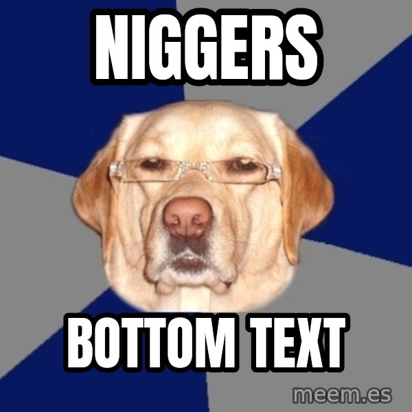 Racist Dawg meme: NIGGERS / BOTTOM TEXT
