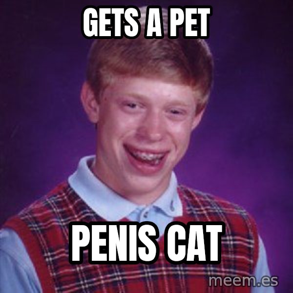 Bad Luck Brian meme: Gets a pet / Penis Cat