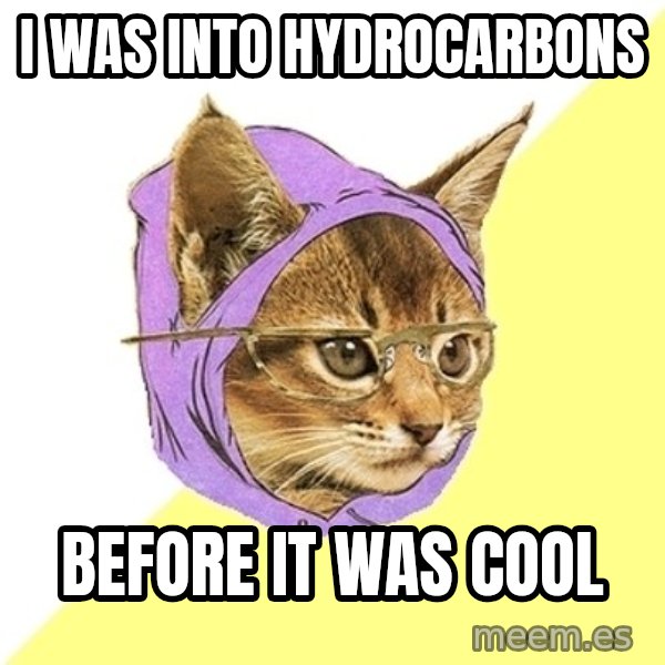 Hipster Kitty meme: I was into hydrocarbons / before it was cool